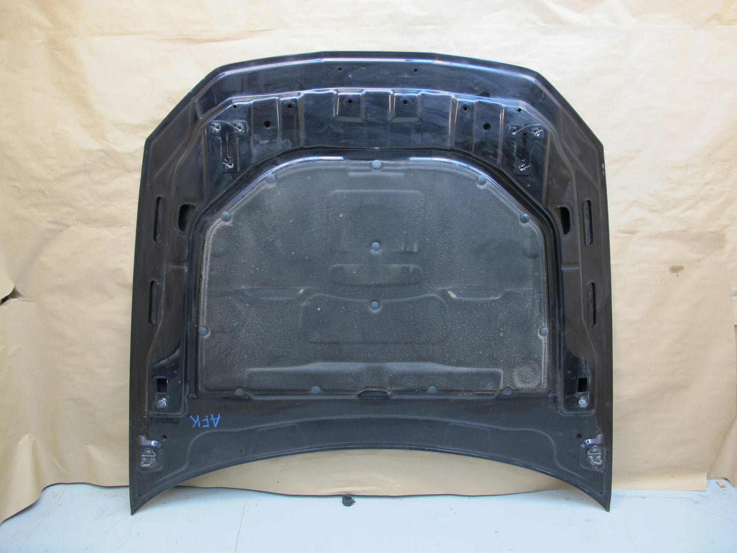 11-12 Fisker Karma Front Hood Bonnet Shell Cover Purple OEM