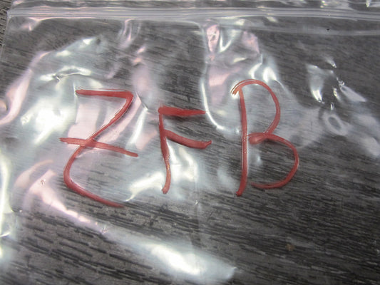 11-16 BMW F07 F10 F11 550i Reartrunk Lid Emblem Logo Badge Symbol Set OEM