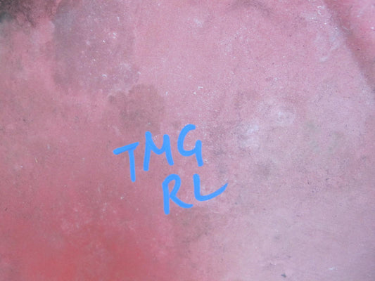 00-05 Toyota MR2 Spyder ZZW30L Rear Left Quarter Shell Cover Panel OEM