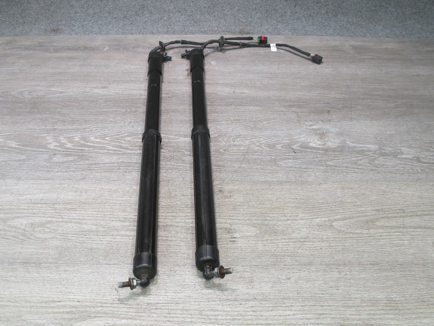2012-2019 Range Rover Evoque L538 Rear Trunk Electric Lift Shock Strut Set of 2