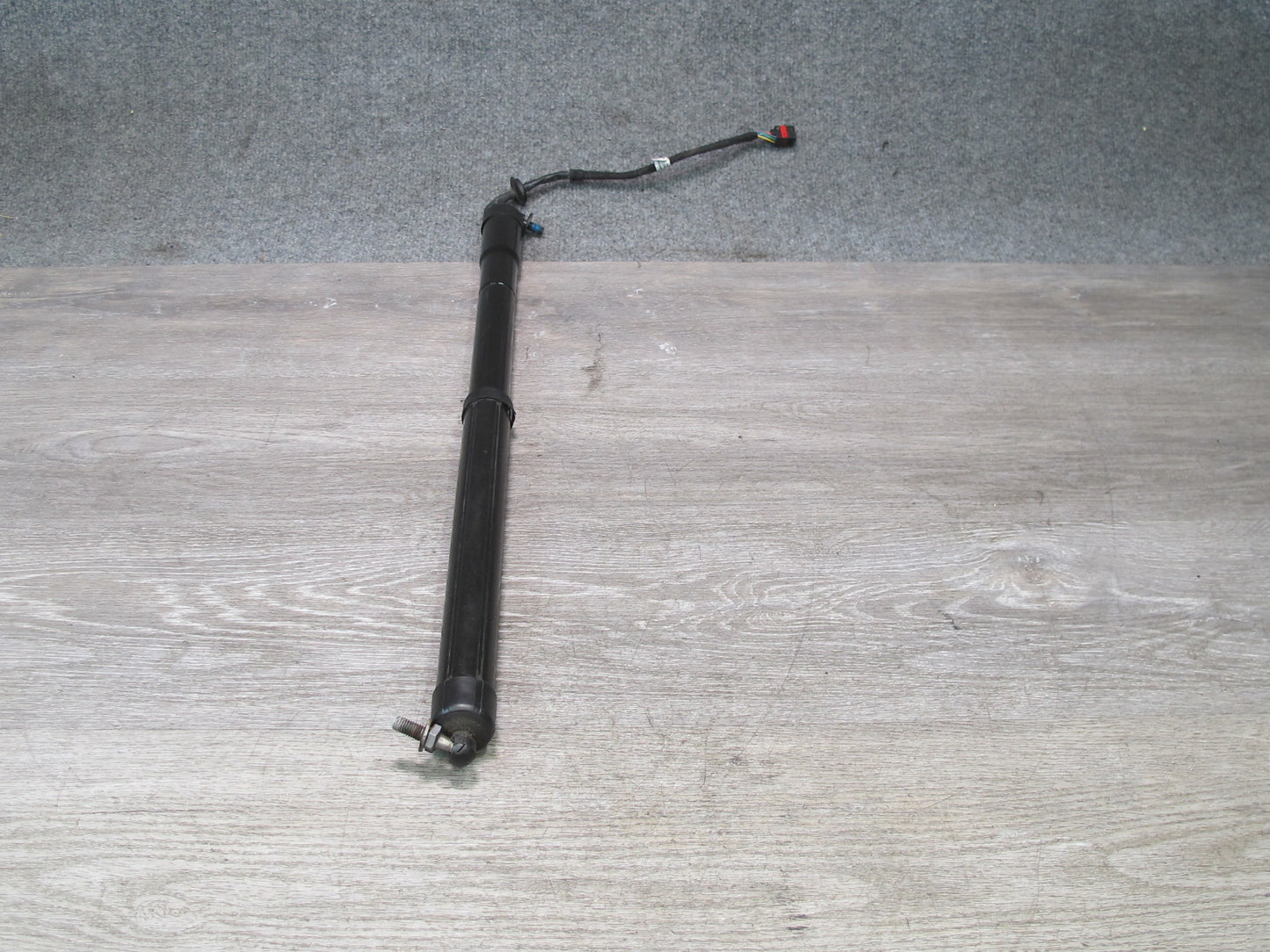 2012-2019 Range Rover Evoque L538 Rear Trunk Electric Lift Shock Strut Set of 2