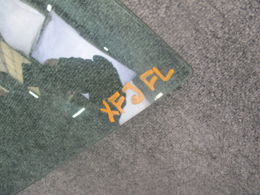 2007-2013 BMW E70 X5 Front Left Door Glass Window