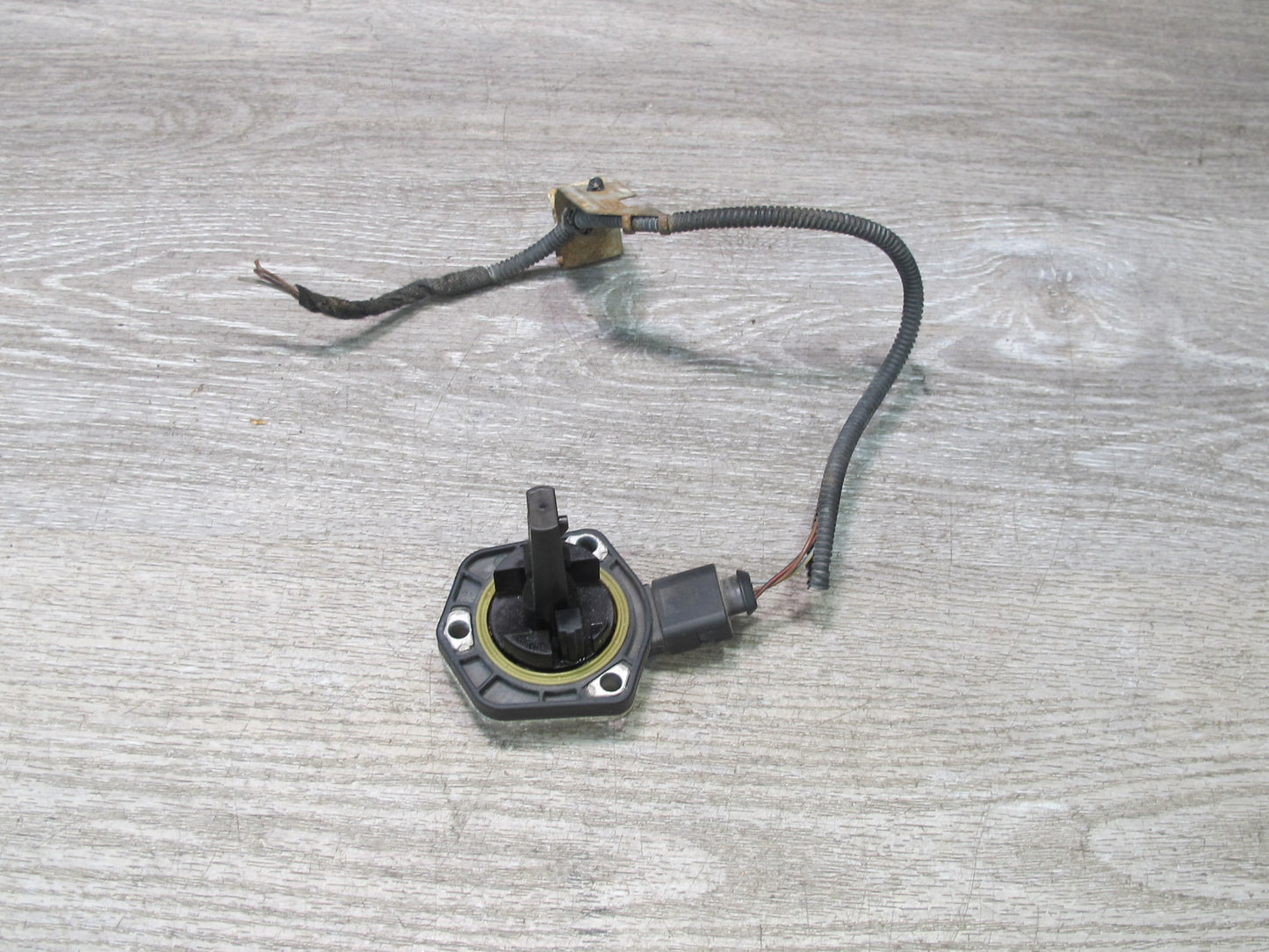 02-15 VW Golf MK5 R32 Passat EOS Rabbit Jetta Engine Oil Level Sensor OEM