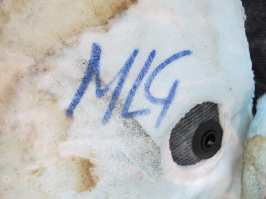 98-05 Lexus JZS160L GS400 GS430 GS300 Floor Carpet Liner Cover Black OEM