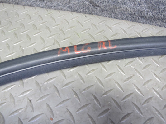 98-05 Lexus JZS160L GS400 GS430 GS300 Rear Left Door Weatherstrip Seal OEM
