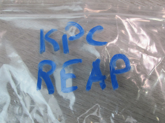 2003-2010 Porsche Cayenne 955 Front Suspension Eccentric Adjust Camber Bolt Set