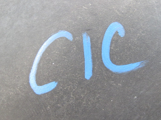 92-96 Chevrolet Corvette C4 Windshield Washer Fluid Reservoir Tank w Pump OEM