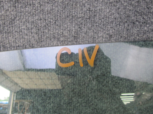 99-01 Isuzu Vehicross Front Left Driver Door Glass Window OEM