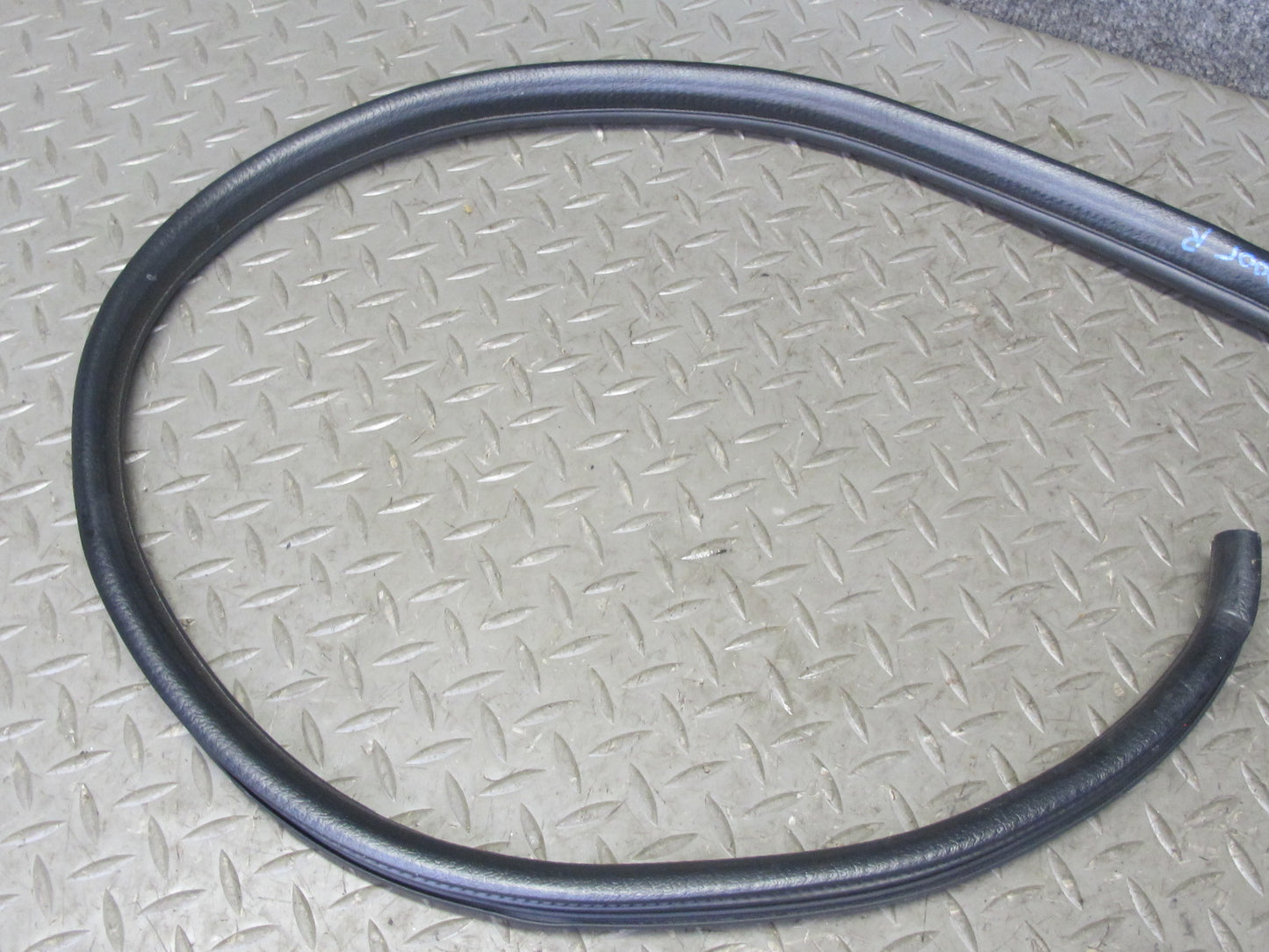 99-01 Isuzu Vehicross Right Passeger Door Weatherstrip Rubber Seal OEM
