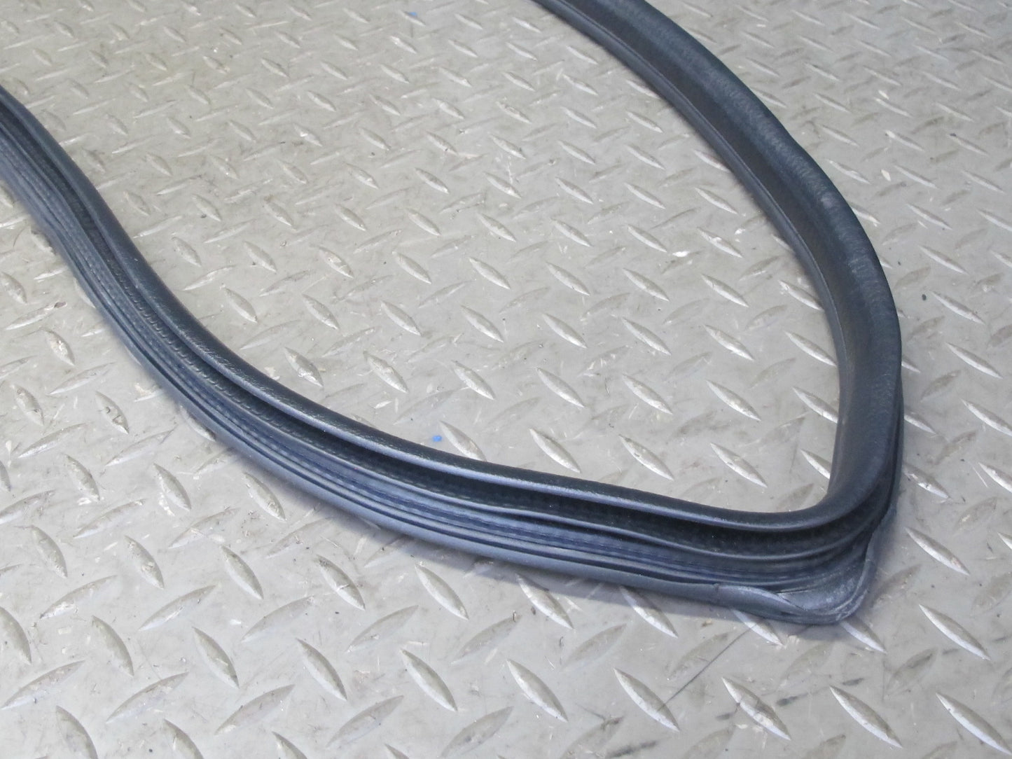 99-01 Isuzu Vehicross Right Passeger Door Weatherstrip Rubber Seal OEM