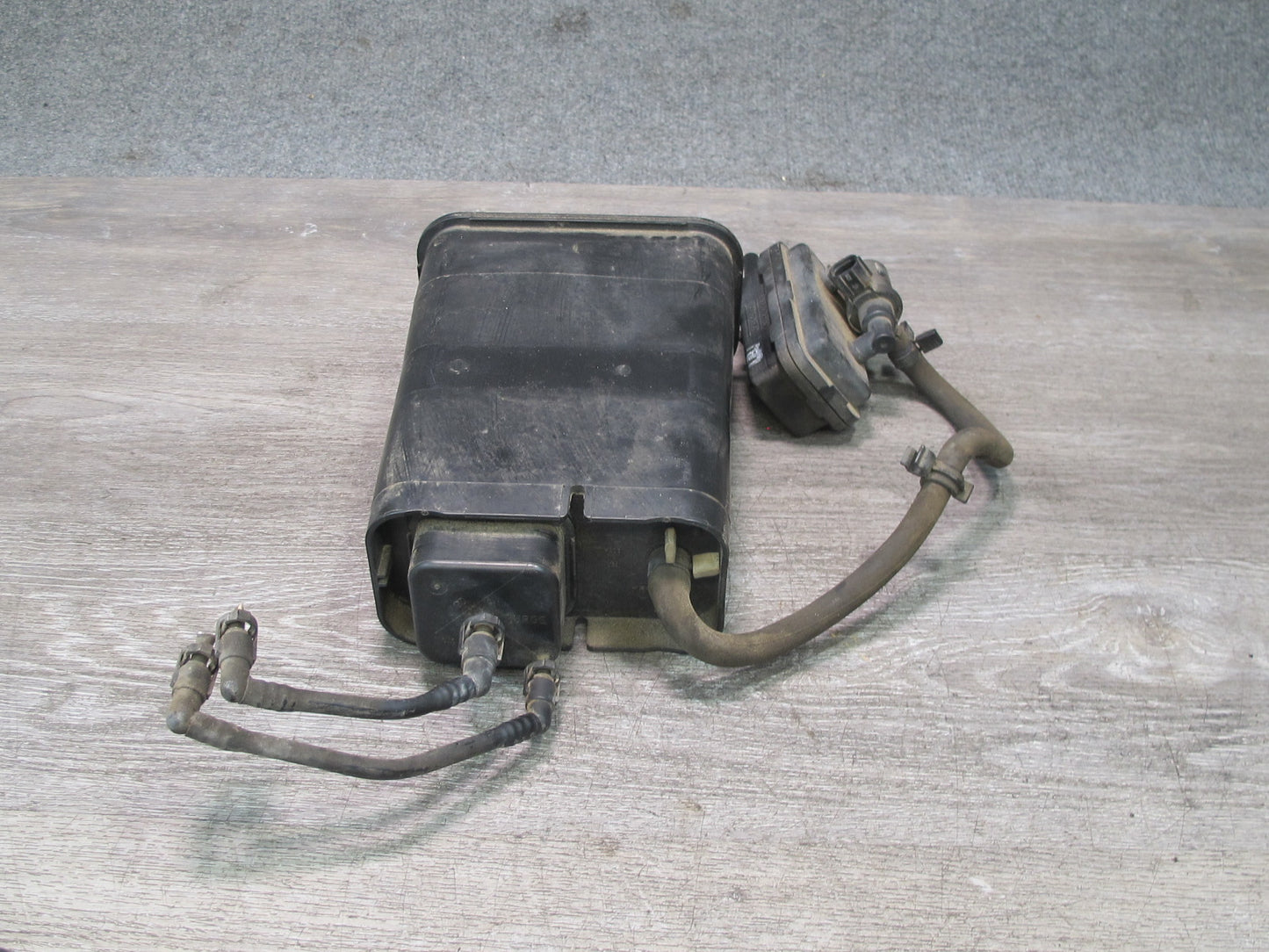 99-01 Isuzu Vehicross Fuel Evap Vapor Charcoal Canister w Valve OEM