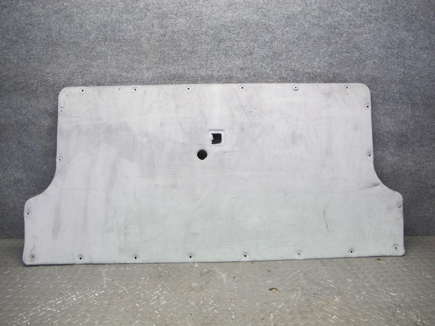 01-03 VW Eurovan T4 Camper Rear Tailgate Liftgate Trunk Lid Trim Cover Panel OEM