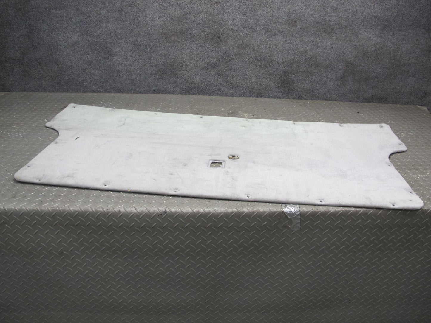 01-03 VW Eurovan T4 Camper Rear Tailgate Liftgate Trunk Lid Trim Cover Panel OEM