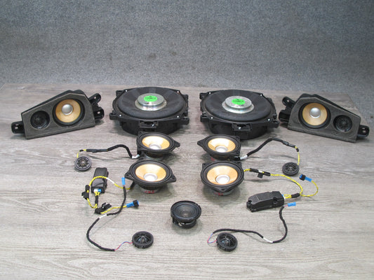 2010-2014 BMW E71 X6 Individual Audio Tweeter Subwoofer Speaker Set of 13