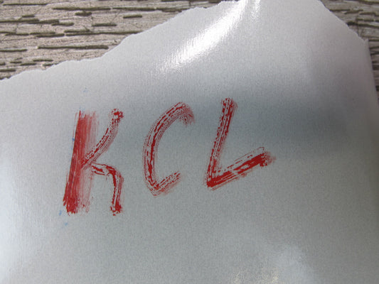 96-99 Mercedes W140 C140 Cl-class Set of 2 Interior Light Lamp OEM