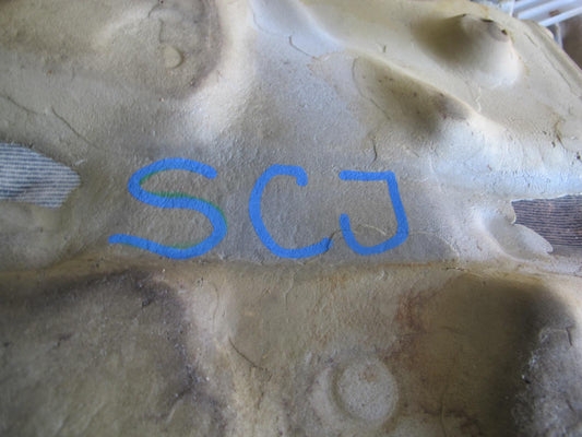 92-00 Lexus JZZ31L SC400 SC300 Floor Carpet Liner Cover Ivory OEM