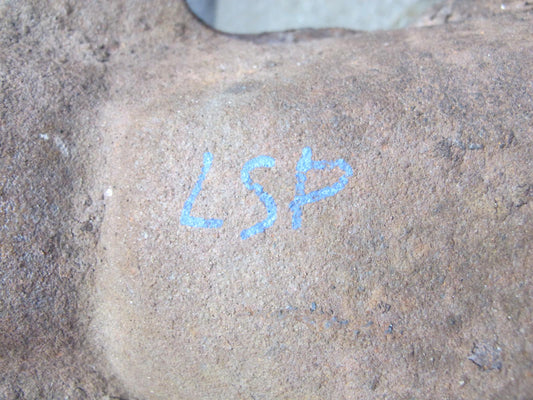 04-06 Lexus UCF30L LS430 Rear Differential Carrier 3.769 Ratio 82k Miles OEM