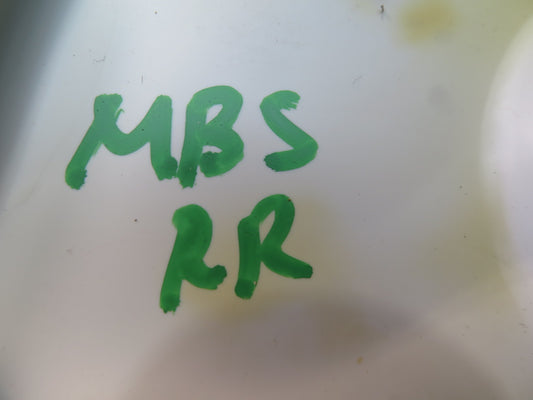 78-89 BMW E24 633CSI 635CSI Rear Right Tail Light Trim Cover OEM