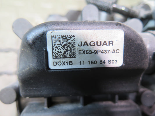 14-21 Range Rover Sport L494 Fuel Evap Vapor Charcoal Canister EX53-9P437-AC