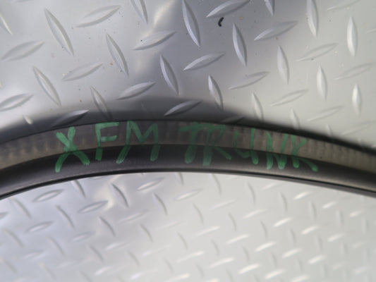 00-06 BMW X5 E53 Rear Trunk Weatherstrip Rubber Seal OEM