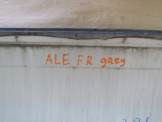 92-96 LEXUS ES300 FRONT RIGHT PASS SIDE DOOR OUTER TRIM COVER MOLDING PANEL OEM