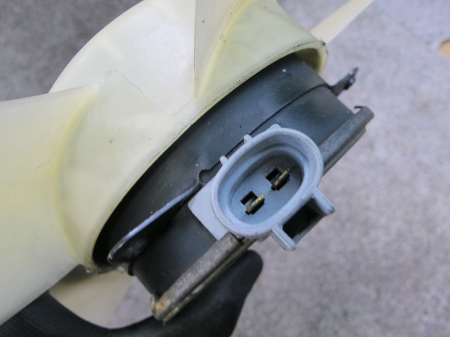 2004-2006 Scion xB Radiator Fan Motor OEM