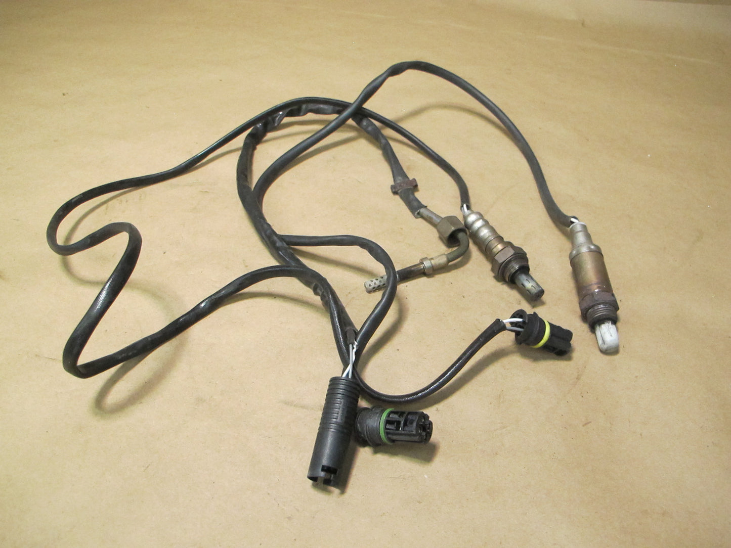 01-06 BMW E46 M3 Set of 2 Oxygen O2 Lambda w Temperature Sensor OEM