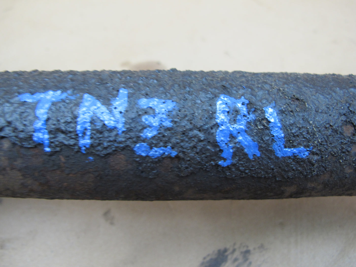 82-83 Datsun Nissan 280ZX S130 2+0 Rear Left Right Strut Shock Spring Set OEM