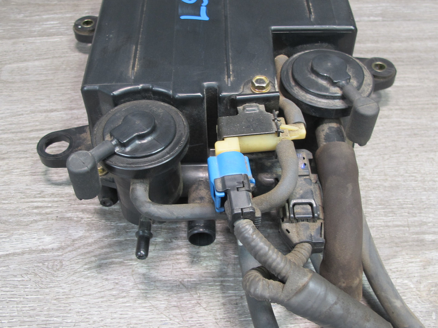 01-03 Lexus UCF30L LS430 Fuel Evap Vapor Charcoal Canister 77740-50091 OEM