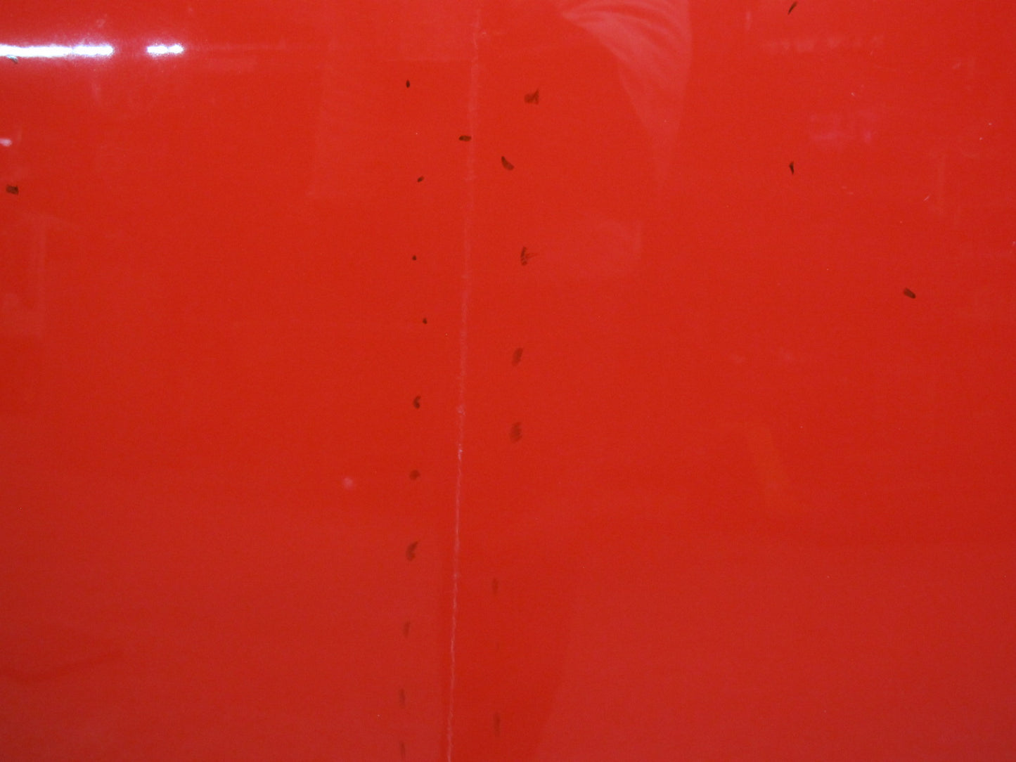 03-06 Chevrolet SSR Rear Cargo Tonneau BED Cover RED OEM