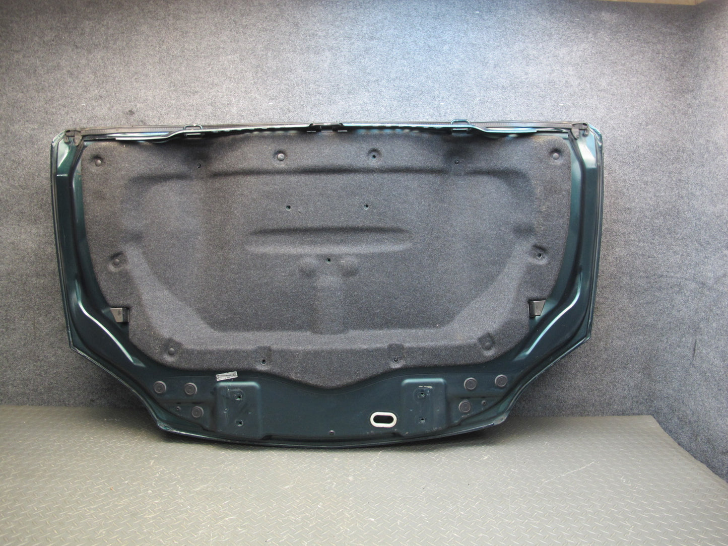 07-10 Saturn SKY Redline Rear Hatch Trunk Lid Tailgate OEM