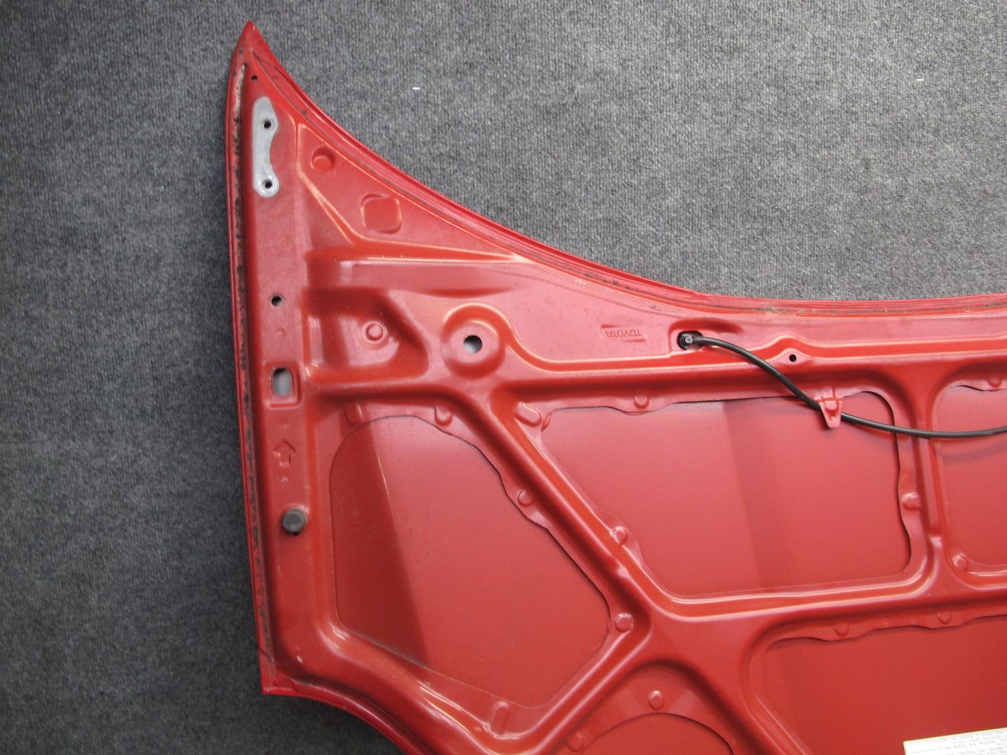 00-05 Toyota MR2 Spyder ZZW30L Front Hood Bonnet Shell Panel OEM