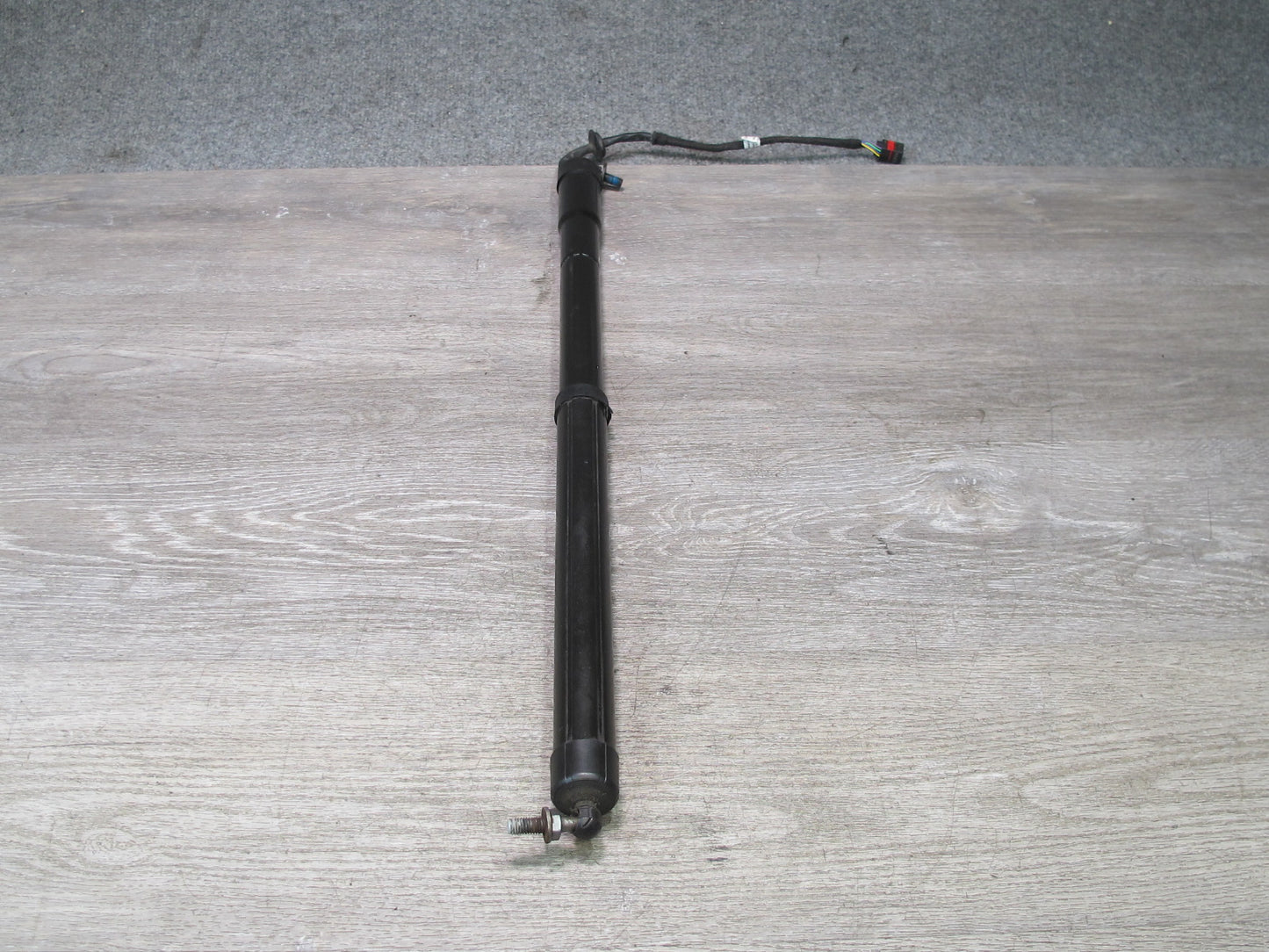 2012-2019 Range Rover Evoque L538 Rear Trunk Electric Lift Shock Strut Set of 2