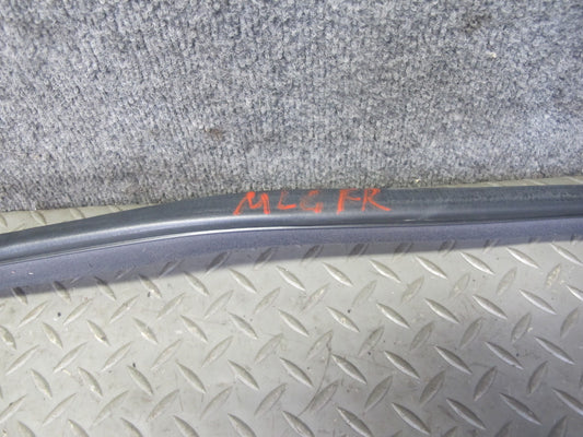 98-05 Lexus JZS160L GS400 GS430 GS300 Front Right Door Weatherstrip Seal OEM