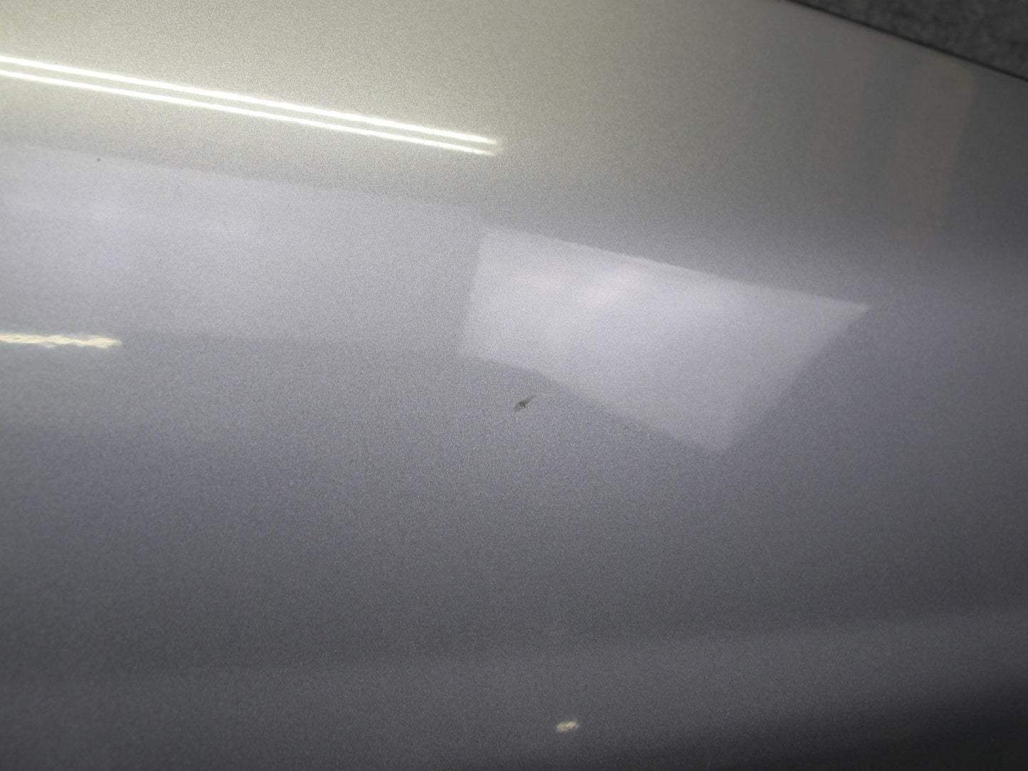 99-01 Isuzu Vehicross Front Right Passenger Door Shell Panel Kaiser Silver OEM