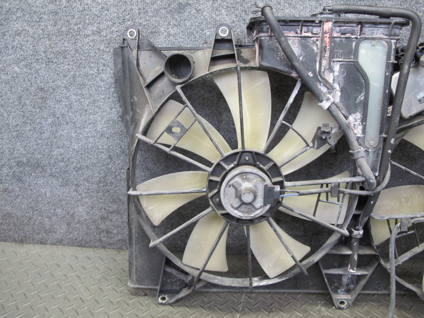 01-06 Lexus UCF30L LS430 Engine Radiator Cooling Motor Fan Shroud w Module OEM