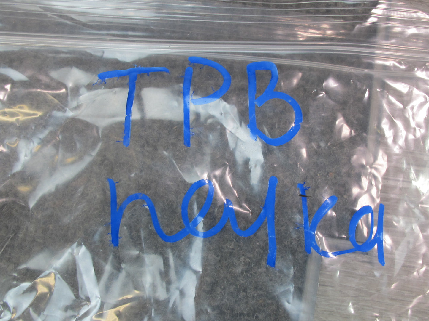 01-06 BMW E46 330ci A/C Heater Flap Door Actuator Motor Wiring Set OEM