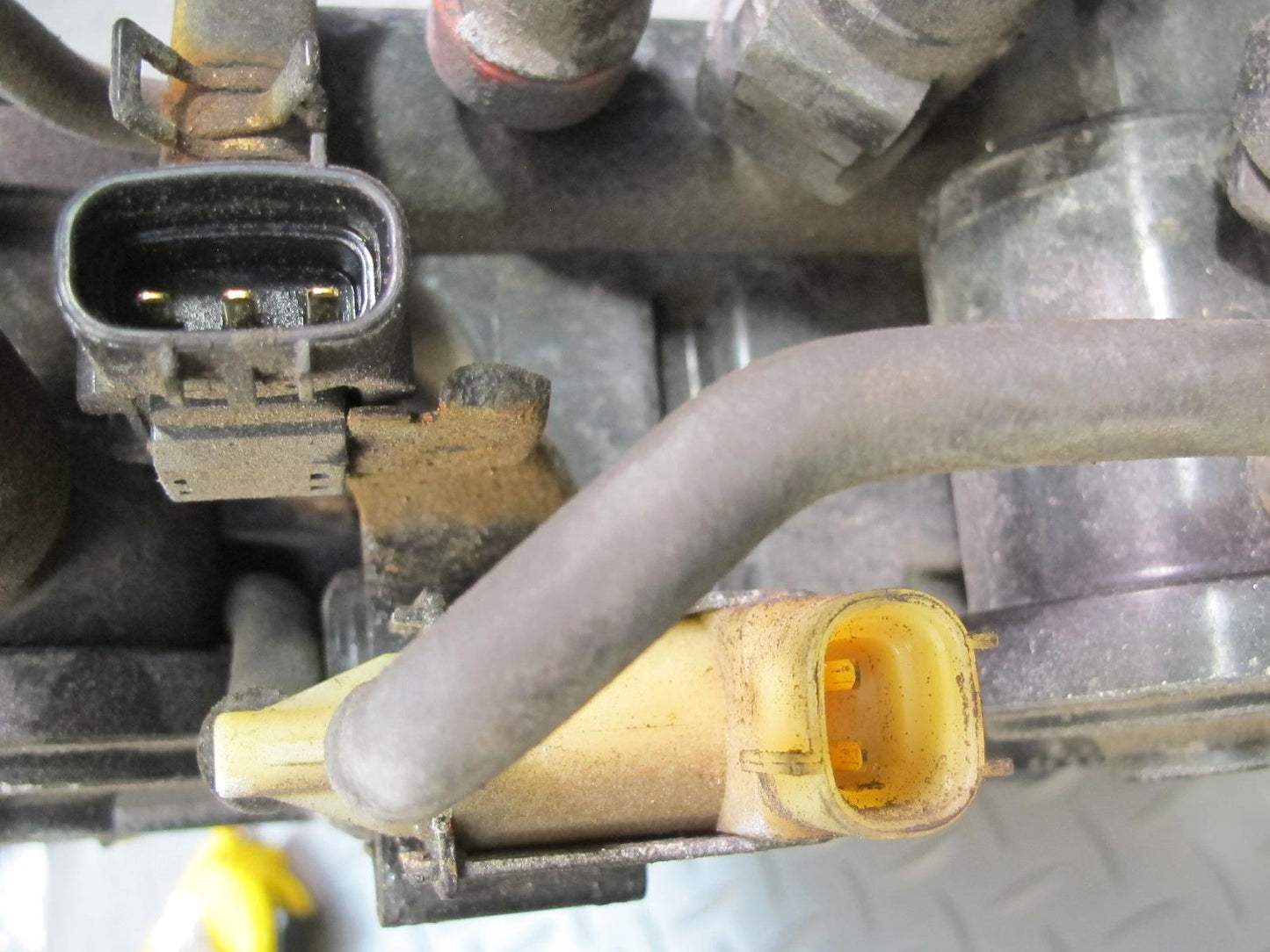 01-06 Lexus UCF30L LS430 Fuel Evap Vapor Charcoal Canister 77740-50092 OEM