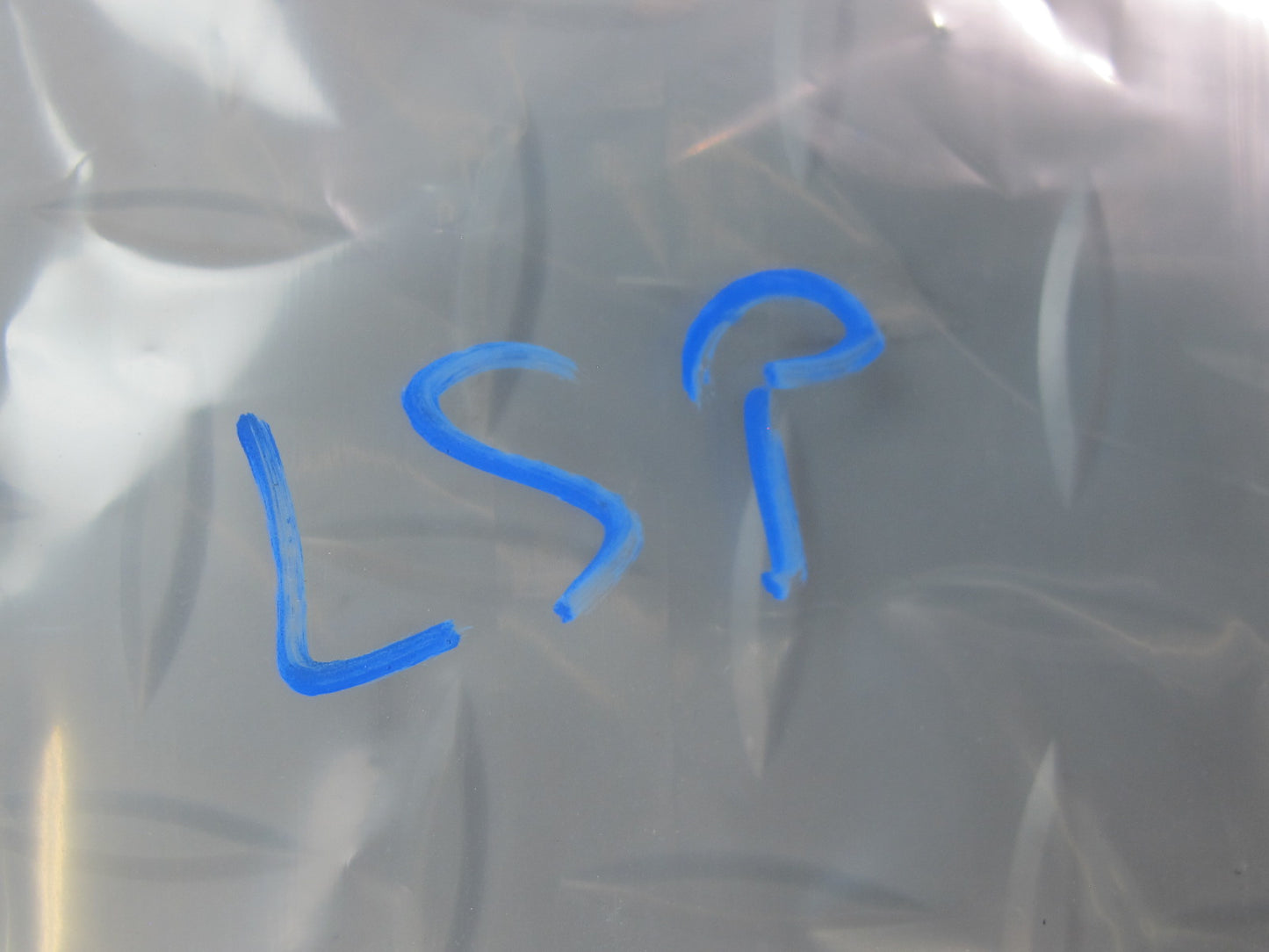 01-06 Lexus UCF30L LS430 Set of 2 Rear Trunk License Plate Light Lamp OEM