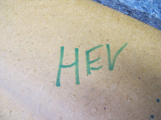 01-03 VW Eurovan T4 Rear Trunk Lid Tailgate Liftgate Trim Cover Panel Beige OEM