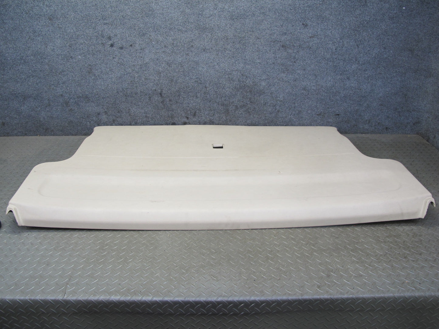 01-03 VW Eurovan T4 Rear Trunk Lid Tailgate Liftgate Trim Cover Panel Beige OEM