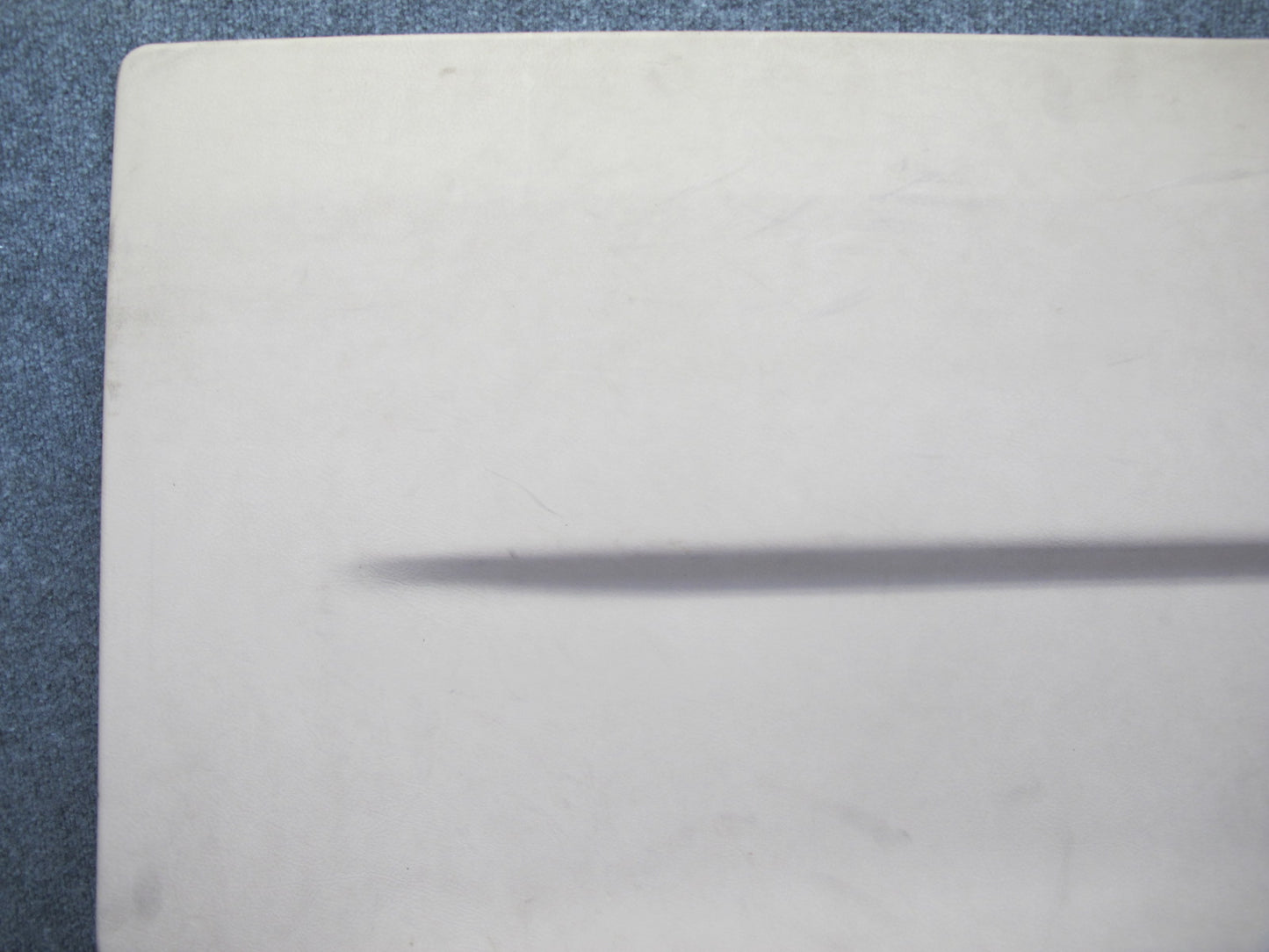 99-03 VW Eurovan T4 Right Sliding Door Interior Trim Cover  Panel Beige OEM