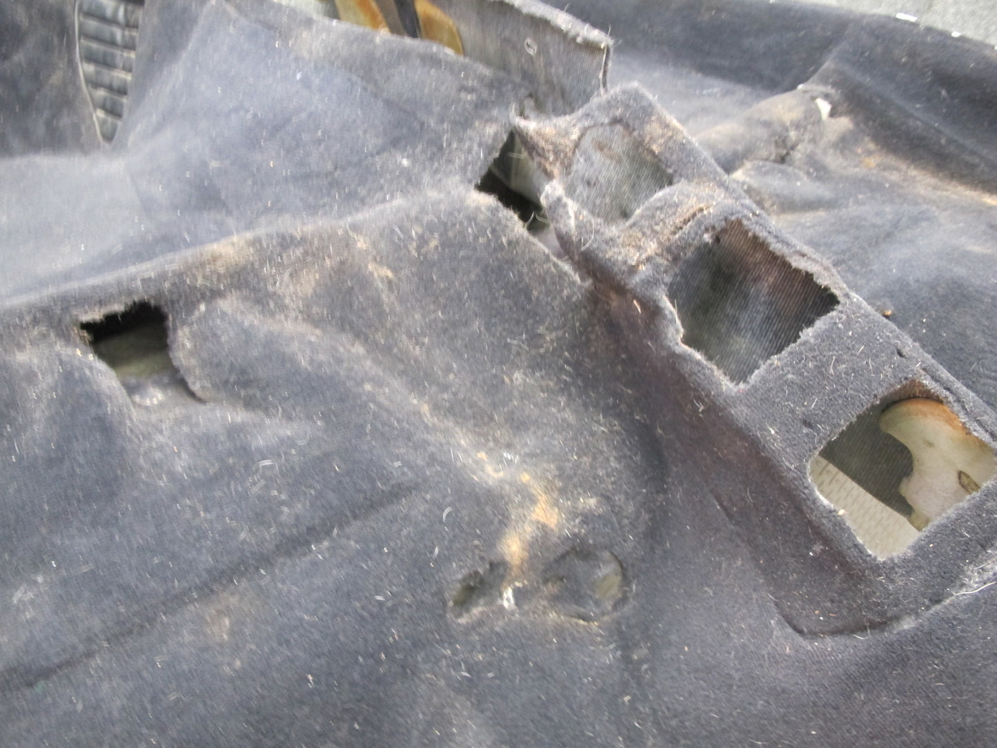 98-00 Lexus UCF20L LS400 Floor Carpet Liner Cover Black OEM