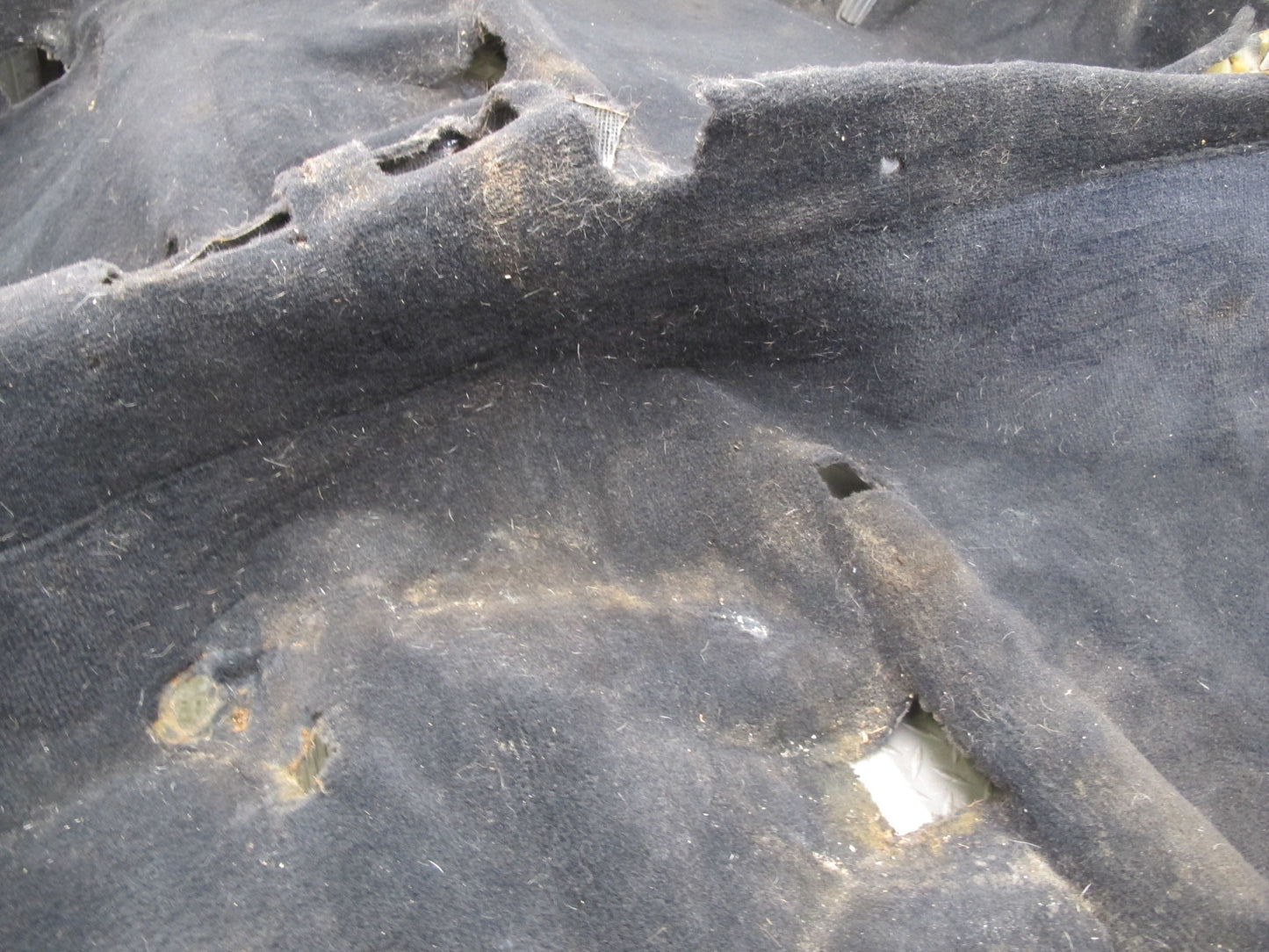 98-00 Lexus UCF20L LS400 Floor Carpet Liner Cover Black OEM