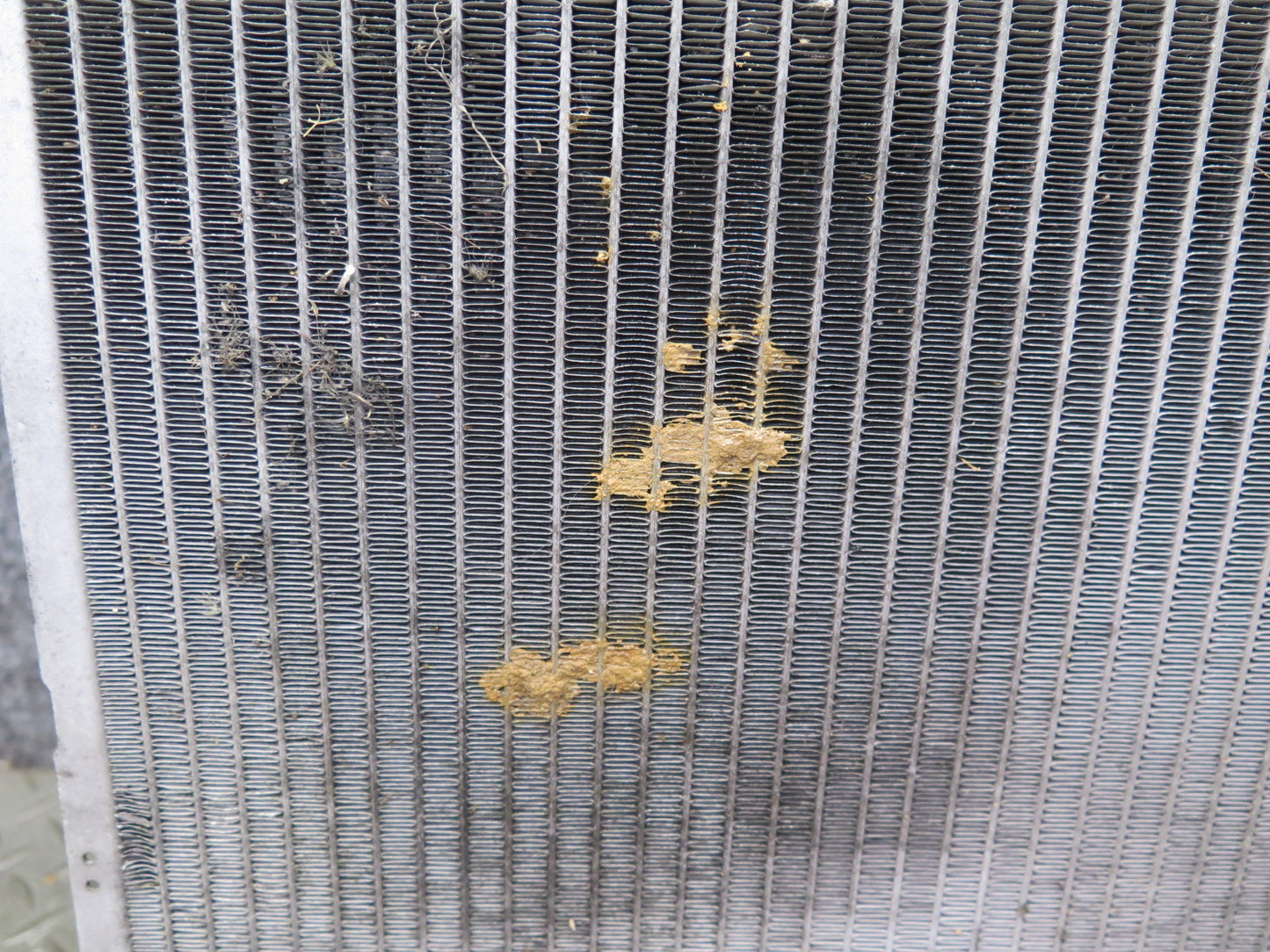 95-00 Lexus UCF20L LS400 Engine Cooling Radiator OEM