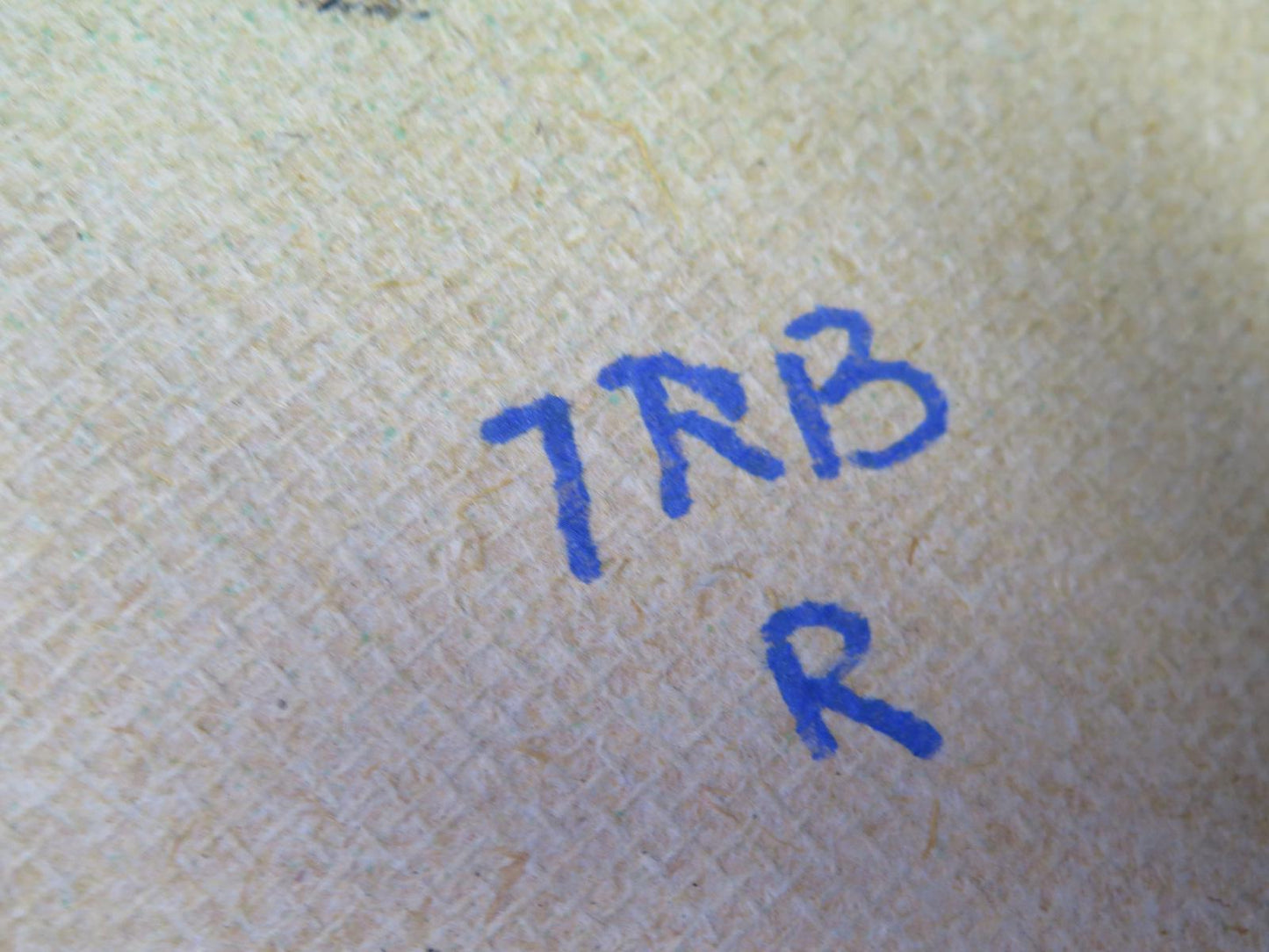 01-06 BMW E46 330ci Convertible Front Right Seat Back Cover Trim Panel Beige OEM