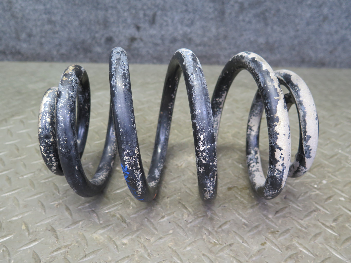 99-03 VW Eurovan T4 Set of 2 Rear Left & Right Coil Spring OEM