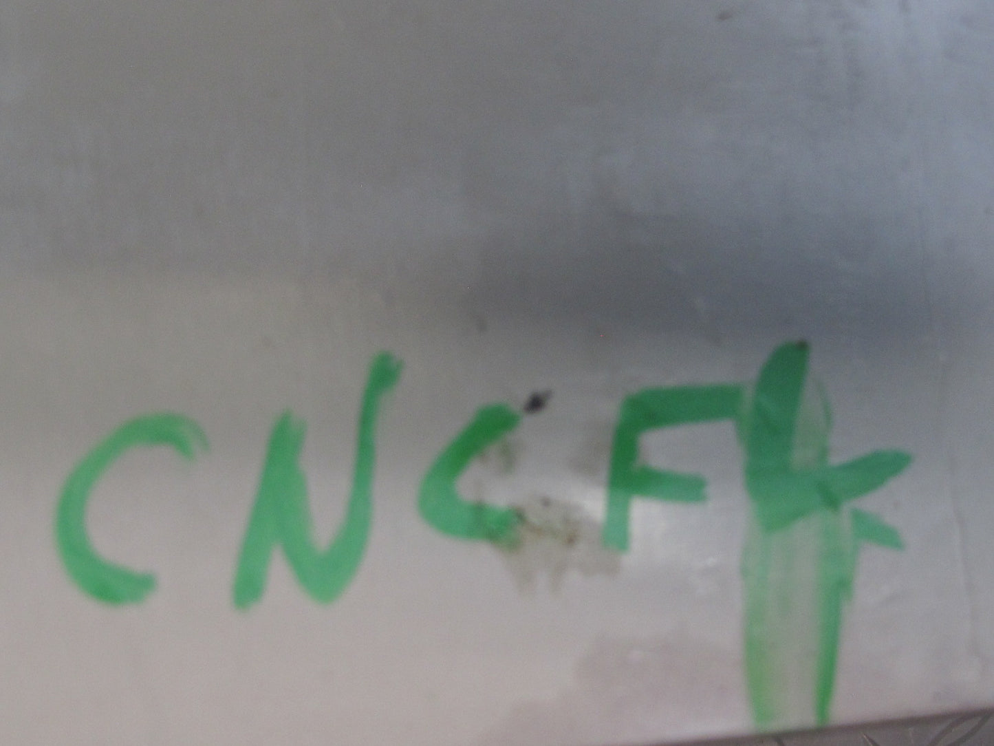 97-04 Chevrolet Corvette C5 Set of 2 Interior B Pillar Seat Belt Trim Cover OEM