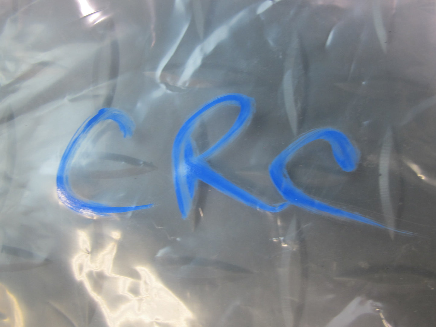 97-04 Chevrolet Corvette C5 TOP Roof Targa Lock Latch Striker Catch Set OEM