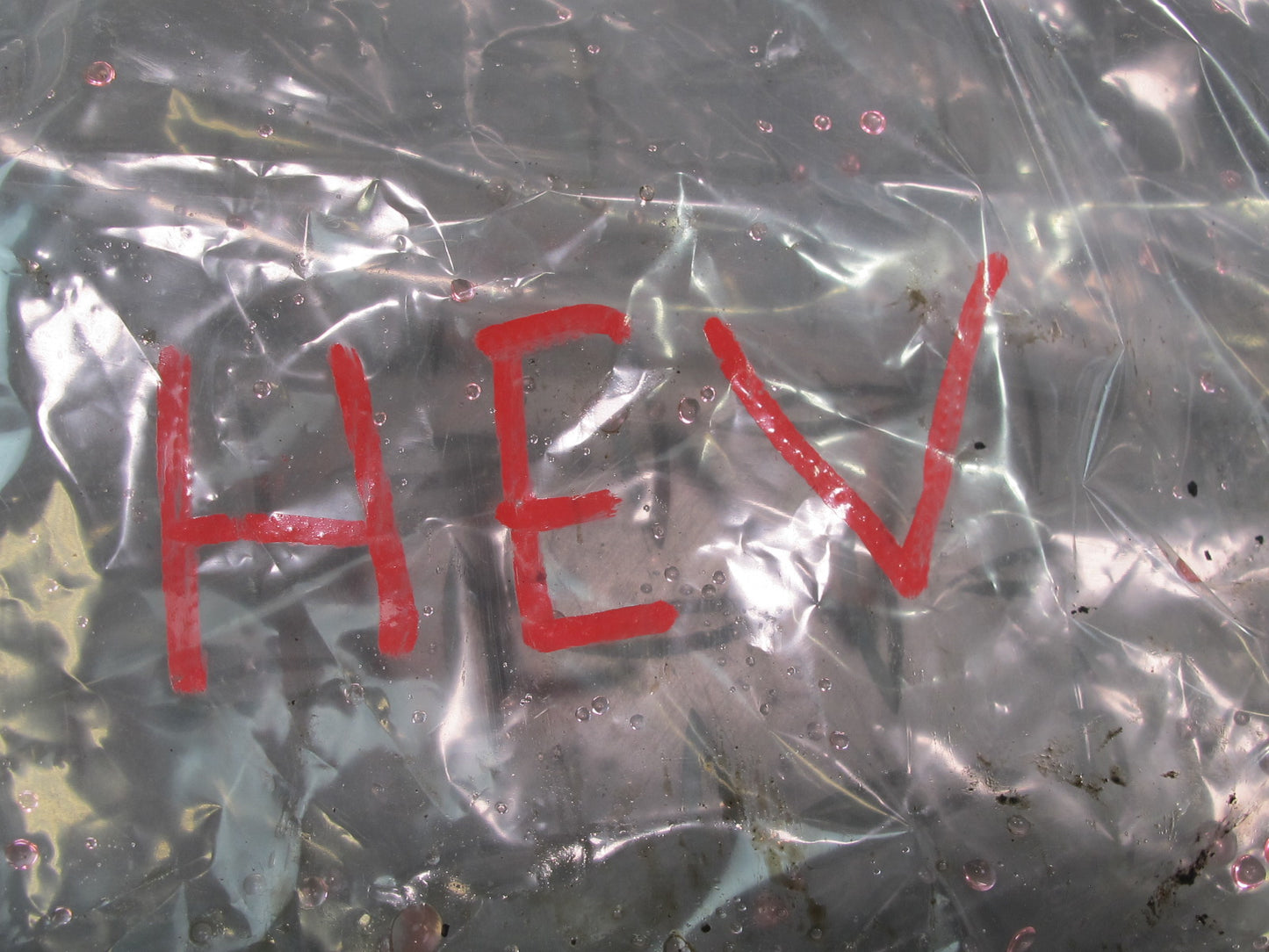 99-00 VW Eurovan T4 2.8L Engine Radiator Oil Cooler Heat Exchanger OEM